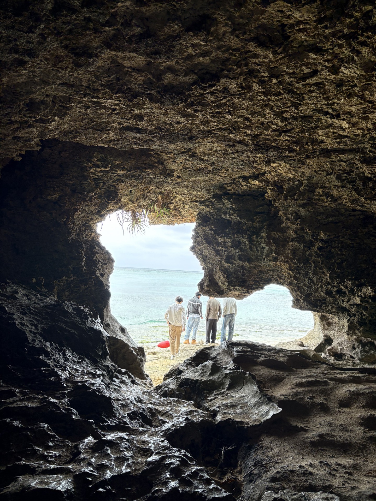 Image - 2026-02-11T163125.653